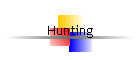 Hunting