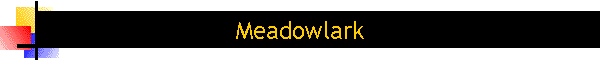 Meadowlark