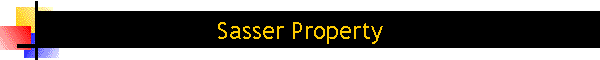 Sasser Property